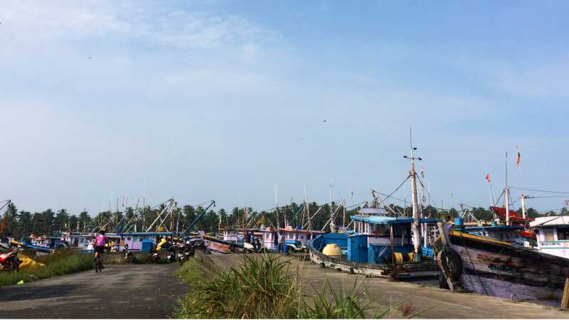 A cyclist explores Malpe port | Els van Veelen