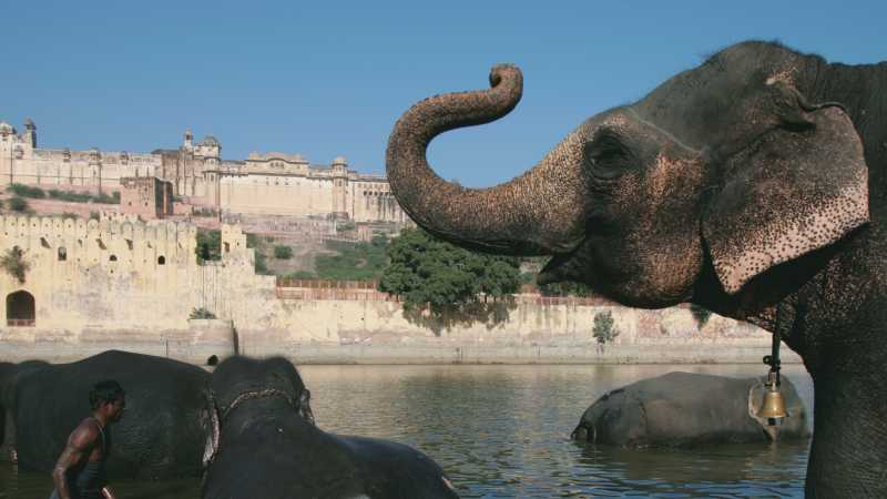 The Amber Fort on the outskirts of Jaipur provides a glimpse into Mughal history on our trips in Rajasthan | Craig Wood