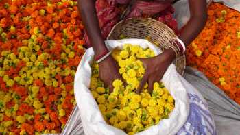 Flower market in Kolkata