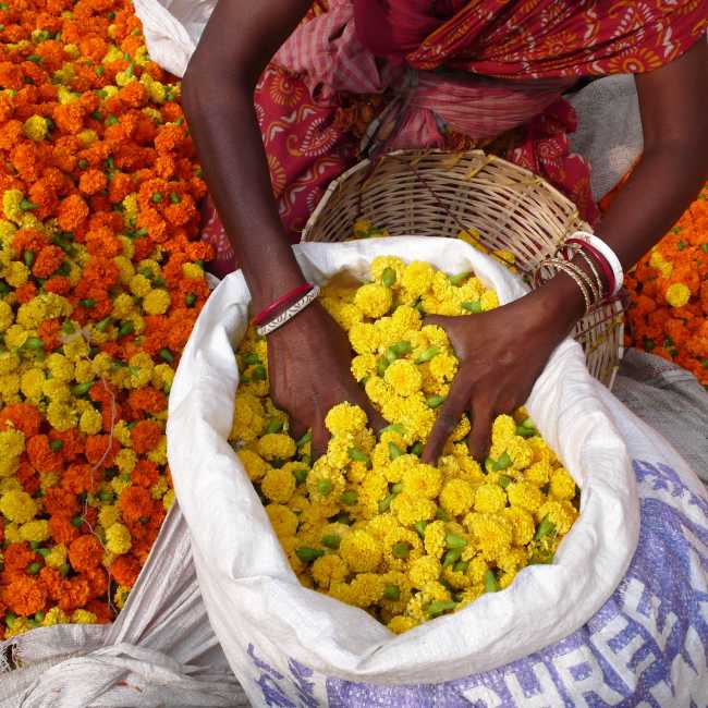 Flower market in Kolkata | Shutterstock