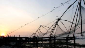Fort Kochi Southern India,Jaclyn Loft Coastal scenery while trekking Southern India