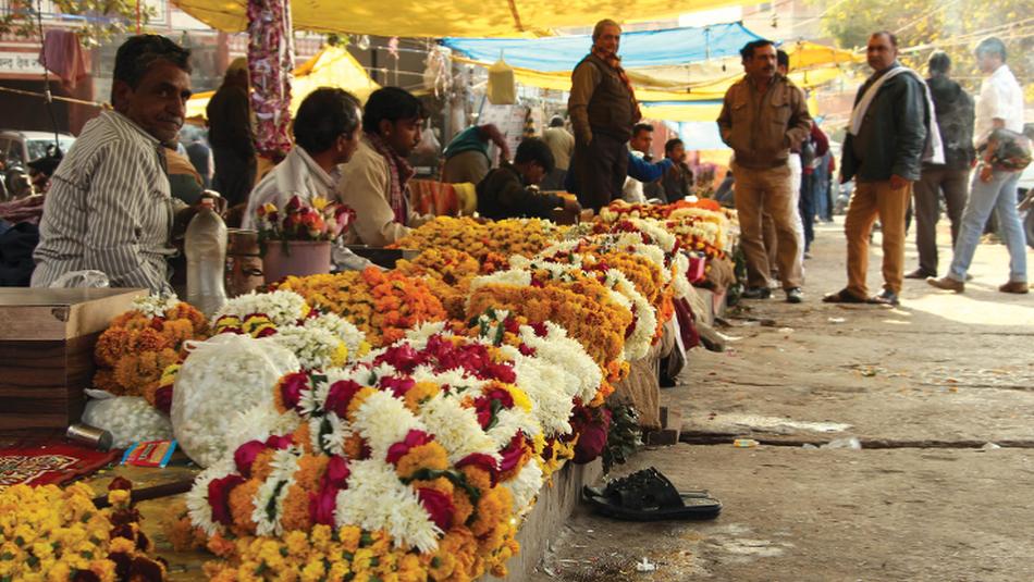Flowers in a street market in Jaipur. -  Photo: Ayla Rowe