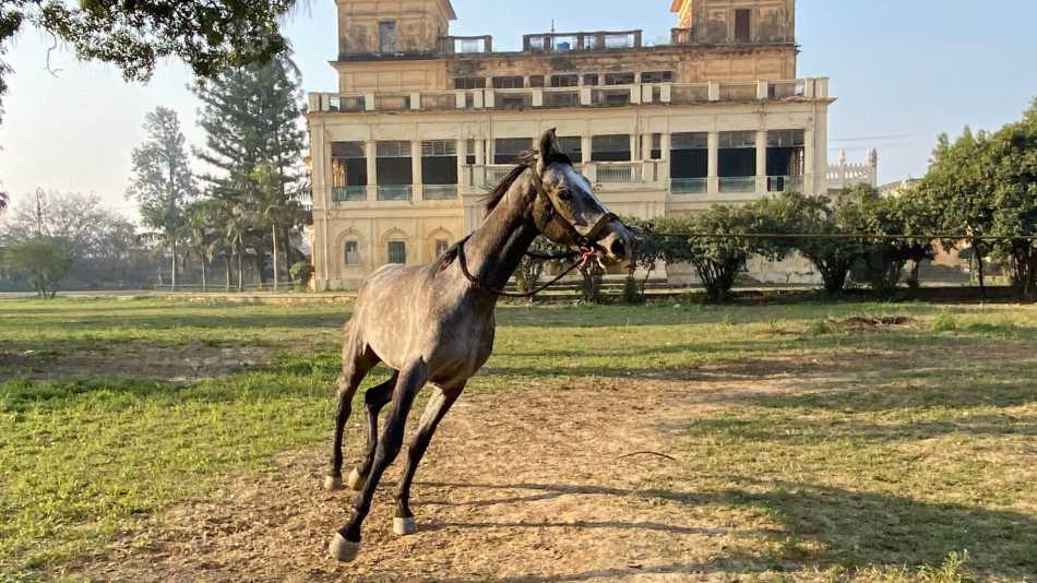 Mahmudabad | John Zubrzycki
