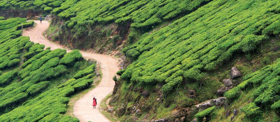 Kerala Tamil Nadu Hiking Tour South India Adventure Travel World 