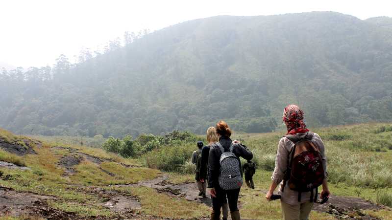 Trekking the gorgeous mountain regions of Southern India | Jaclyn Loft