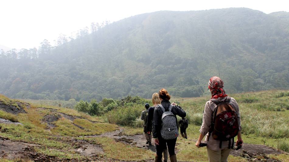Trekking the gorgeous mountain regions of Southern India | Jaclyn Loft