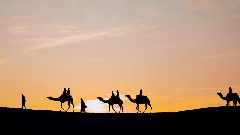 Sunset camel ride in the dunes - Songs of Rajasthan and the Ganges with Stuart Davis, India
