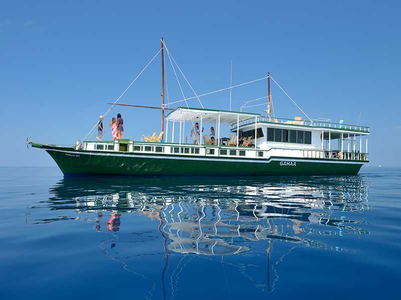 A traditional 'dhoni' sailing the Maldives