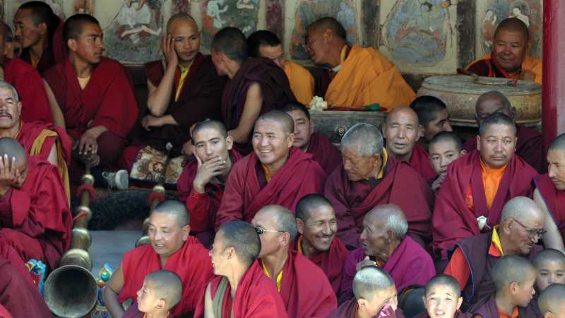 Hemis Festival | Adam Mussolum