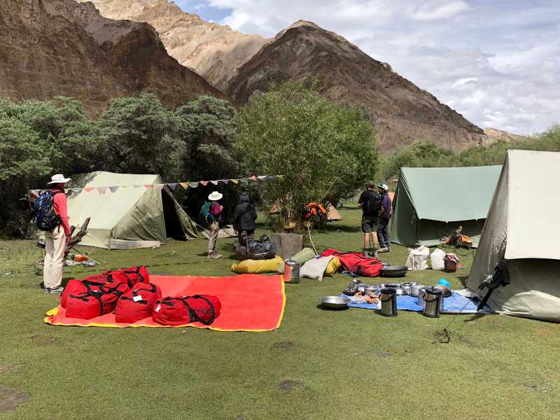 The comfortable grassy campsite of Narding | Brad Atwal