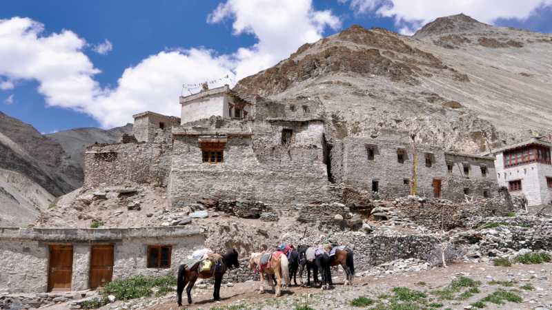 Markha Valley, Ladakh | Adam Mussolum