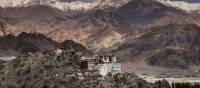 Spectacular views of Leh in the Indian Himalaya | Richard I'Anson
