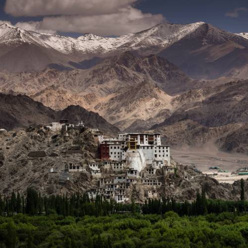 Seven Best Ladakh Monasteries to See in Himalayas