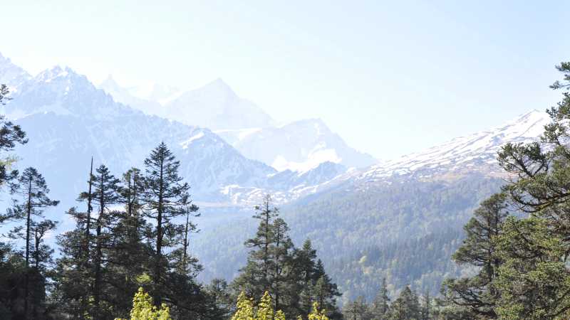 Nanda Devi Alpine Trek - Nanda Devi Alpine Trek, India
