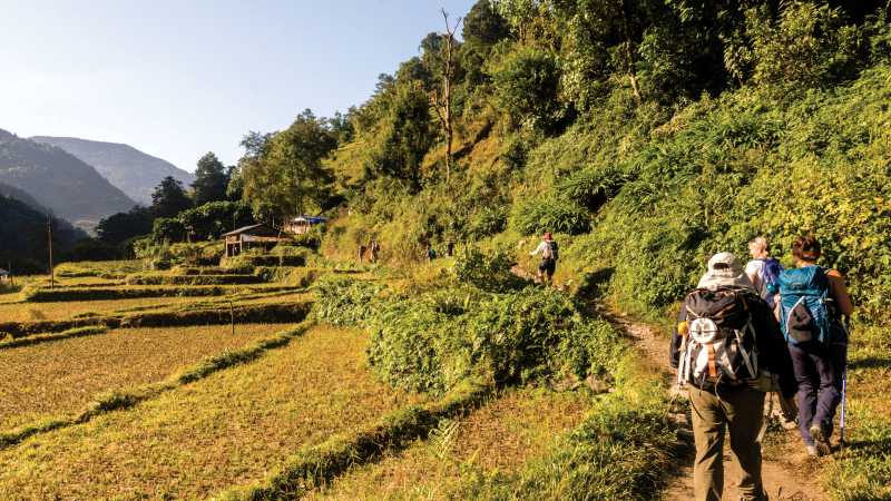 Walking alongside fields of rice and millet towards Ghandruk in the Annapurna Region, Nepal | Joe Kennedy