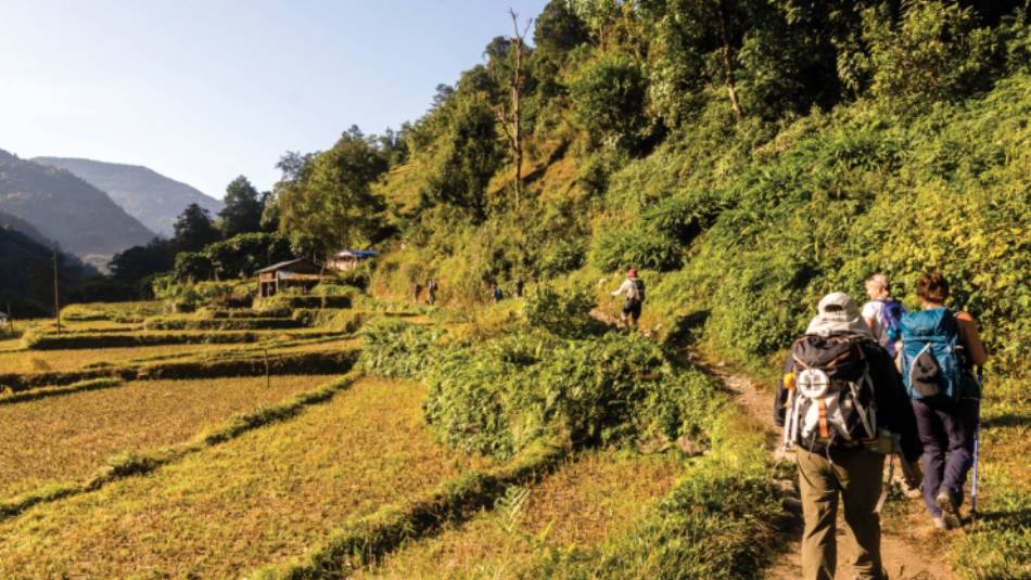 Walking alongside fields of rice and millet towards Ghandruk in the Annapurna Region, Nepal | Joe Kennedy