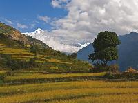 The trails of the Annapurna region are dotted with small villages -  Photo: Peter Walton