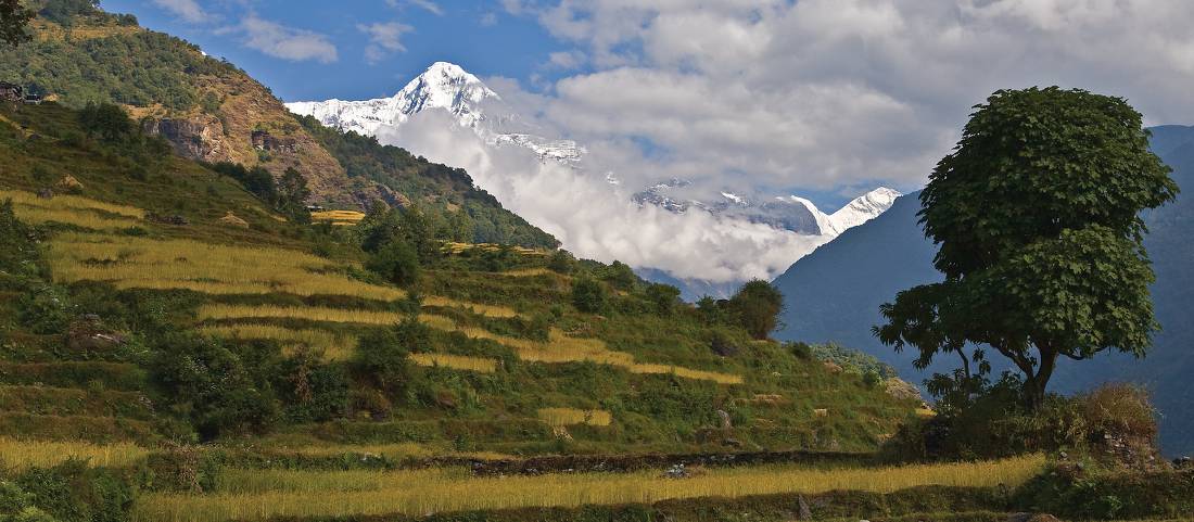 The trails of the Annapurna region are dotted with small villages |  <i>Peter Walton</i>