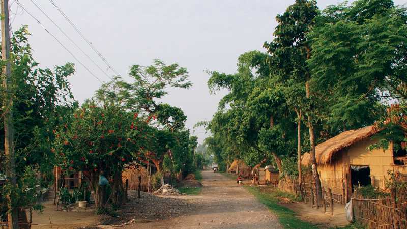 Views down a local Chitwan street | Zac Kostos