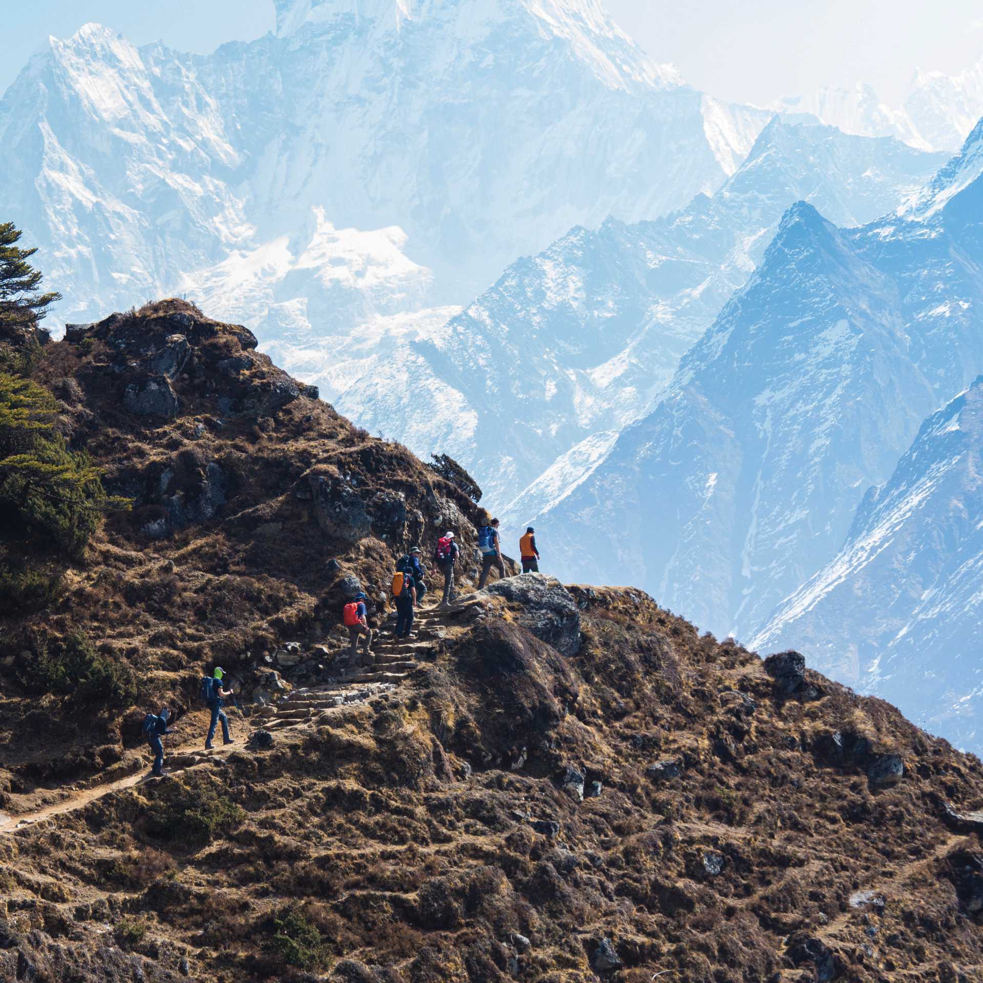 The trail to Thyangboche winds past the face of Ama Dablam | Mark Tipple