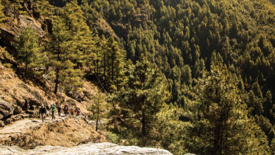 The forested hills of the lower Khumbu | Mark Tipple
