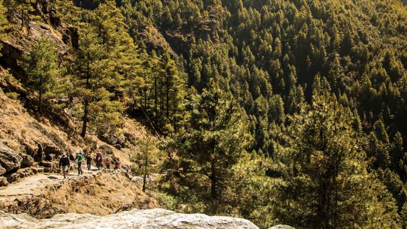 The forested hills of the lower Khumbu | Mark Tipple