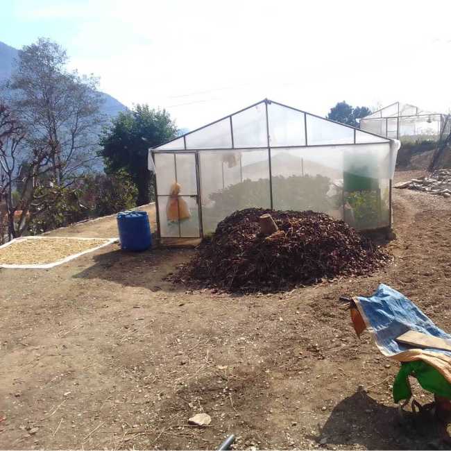 Greenhouse Tunnel in Nepal