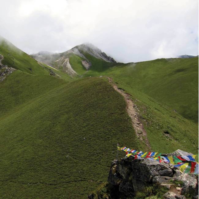 Trekking above Kyanjin Gompa towards the amazing Kyanjin Ri | Soren Kruse Ledet