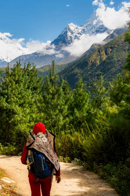 Trekking from Namche Bazaar to Thyangboche in the Everest region - <i>Photo: Lachlan Gardiner</i>