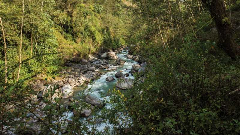 Verdant valley just outside of Landruk - Annapurna Chitwan, Nepal