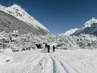 Manaslu Circuit Trek, Nepal |  Eloise Weston
