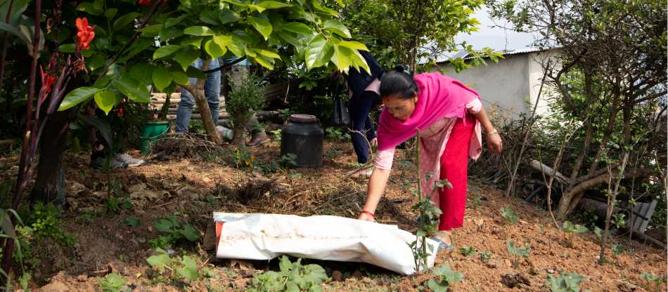 Training in sustainable farming practices improve capacity to build sustainable livelihoods | Caroline Mongrain