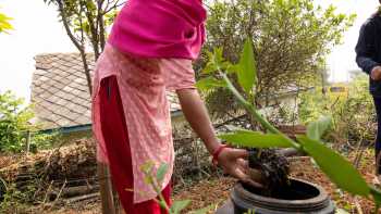 Nepal_T-Help Project,Caroline Mongrain T-HELP will monitor and support each farmer in their startup of vermicomposting and preparation of bio-pesticide