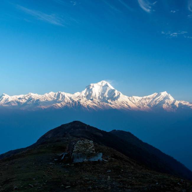 Dhaulagiri, the world's seventh highest mountain as seen from Kopra Ridge | Patrick O'Shea
