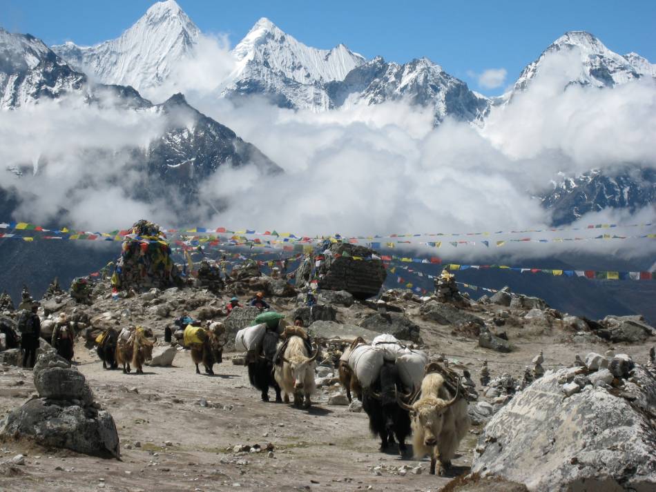Yak trains, Prayer flags and the brilliant Himalayan mountains on the way to Everest Base Camp. |  <i>Melodie Probert</i>