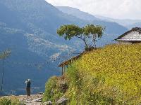 A trekker pauses for a photographic opportunity along the trails of the Annapurna region -  Photo: Peter Walton