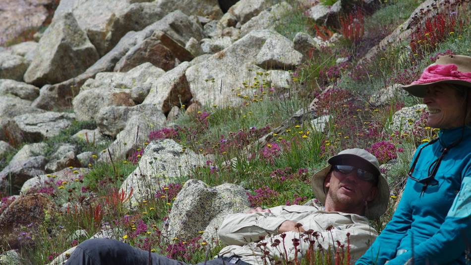 Relaxing in Alpine meadows, Karakoram, Pakistan | Tim Macartney-Snape