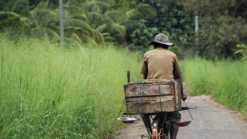 Local transport, Sri Lanka | Andrew Darby Smith