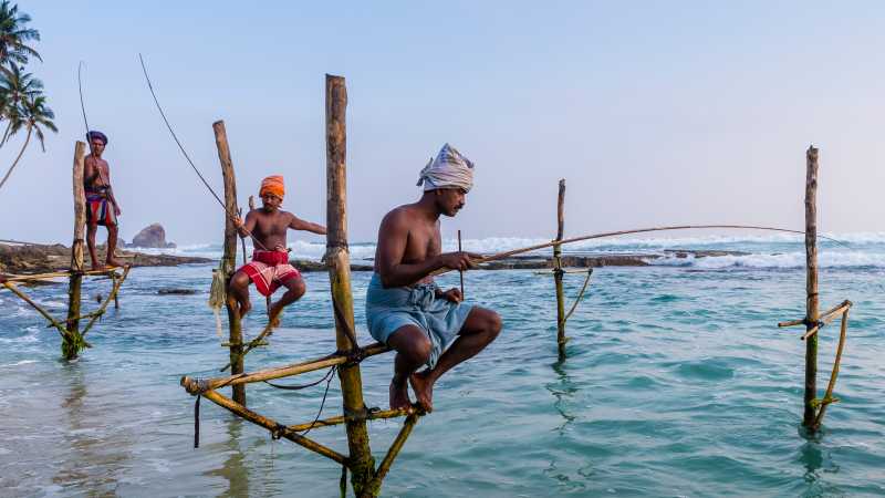 The famous Stilt fisherman of Sri Lanka | Richard I'Anson