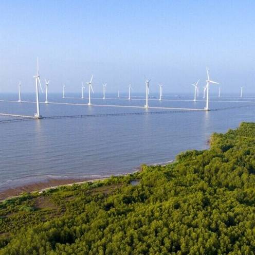 Our Positive Impact Projects, such as the Bac Lieu Vietnam Wind Project, supports local economies and their sustainable development.