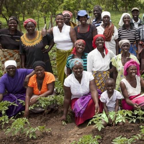 Our Positive Impact Projects, such as the Kariba REDD+ forest protection in Zimbabwe, supports local communities and their sustainable development.