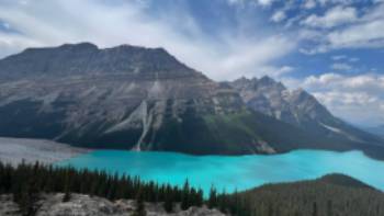Gorgeous view from the Peyto Lake lookout