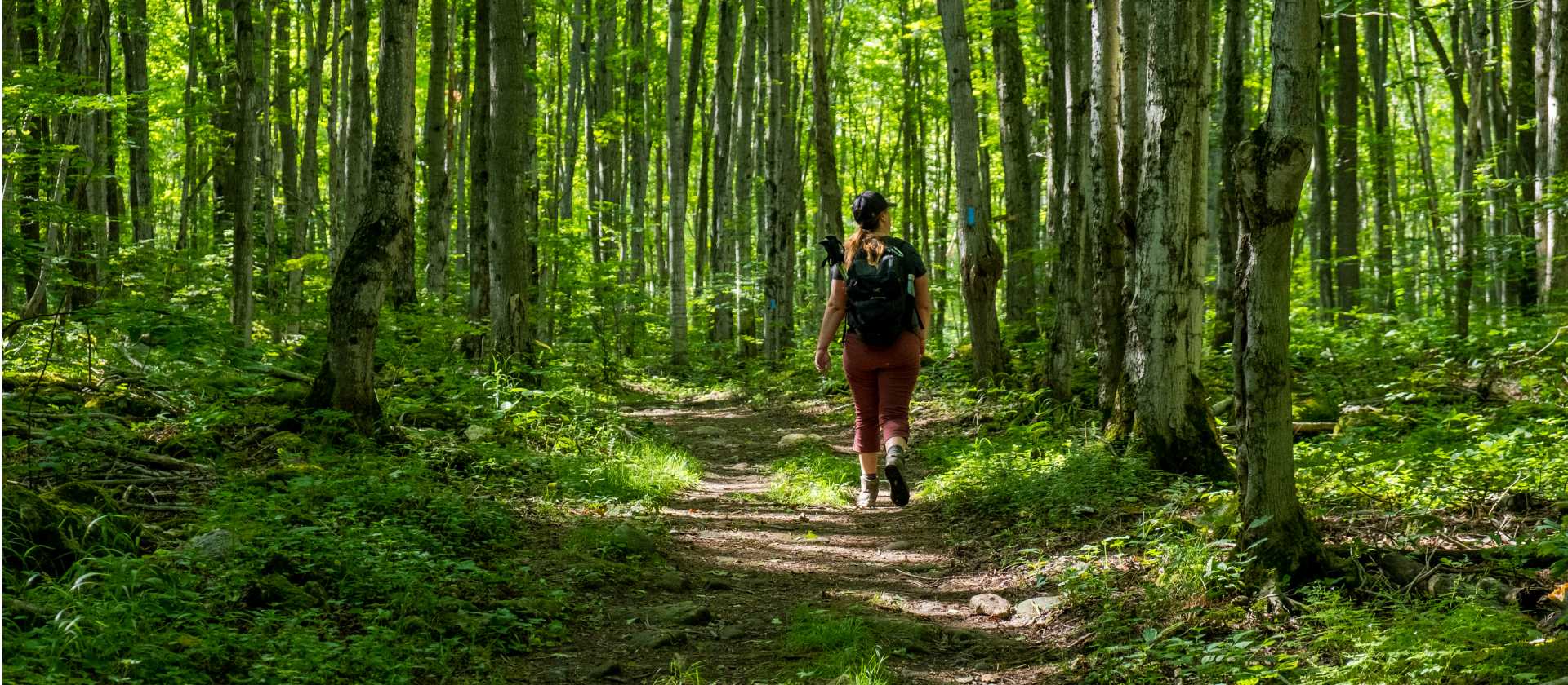 Hiking the Bruce Trail on the Niagara Escarpment Ontario