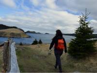 Hiking the oceanside meadow around Tors Cove |  <i>Nathalie Gauthier</i>