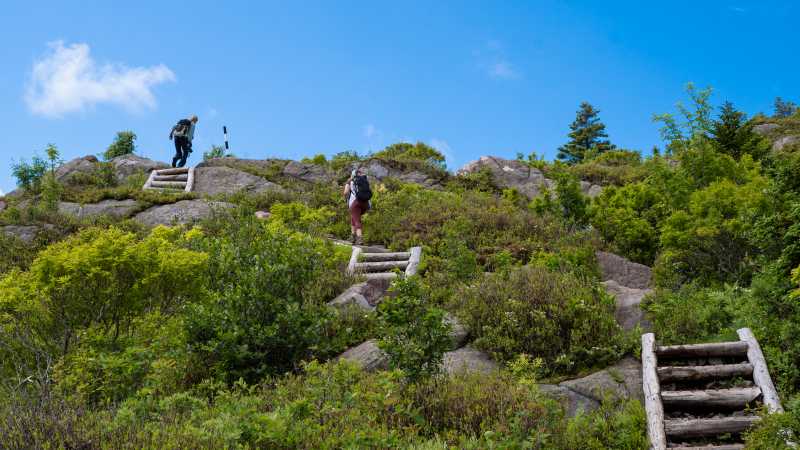 Climbing up the Sugarloaf path near St. John's, Newfoundland | Sherry Ott