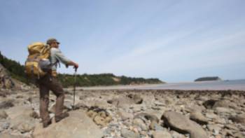 Walking on the remote Fundy Coast during low tide