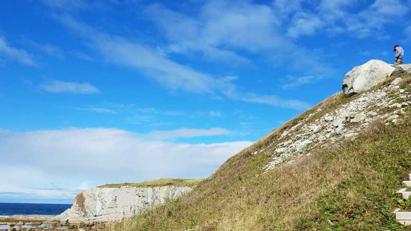 Stairs with a view in Gros Morne National Park