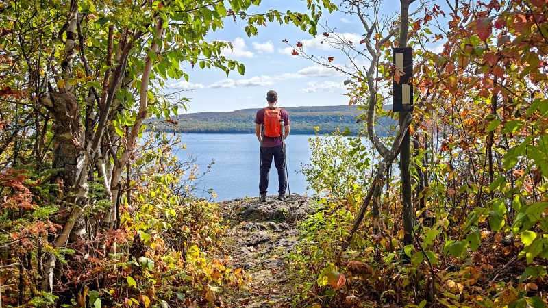 Immerse yourself in nature’s vibrant beauty | Pete Heck