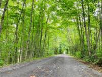 Cycling under the natural arch of trees |  <i>Caroline Mongrain</i>