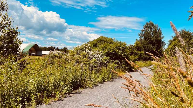 The Harvest Moon Trailway meanders across charming rural landscapes | Caroline Mongrain